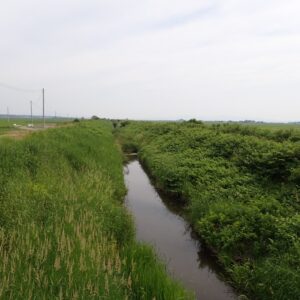 伊藤鉱業|水辺サポーター制度