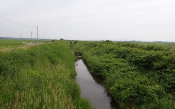 伊藤鉱業｜水辺サポーター制度