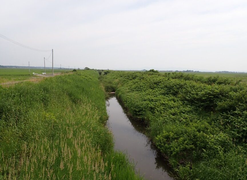 伊藤鉱業｜水辺サポーター制度