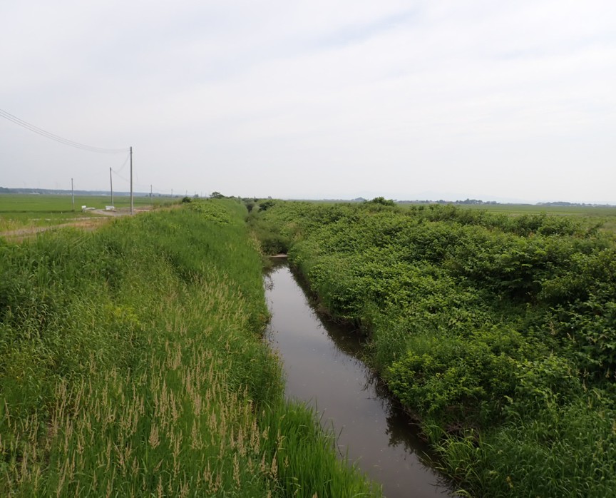 伊藤鉱業|水辺サポーター制度