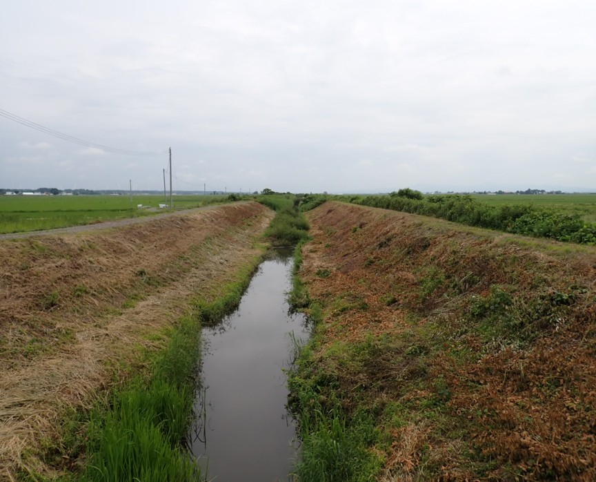 伊藤鉱業|水辺サポーター制度