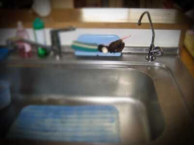 伊藤鉱業 浄水器